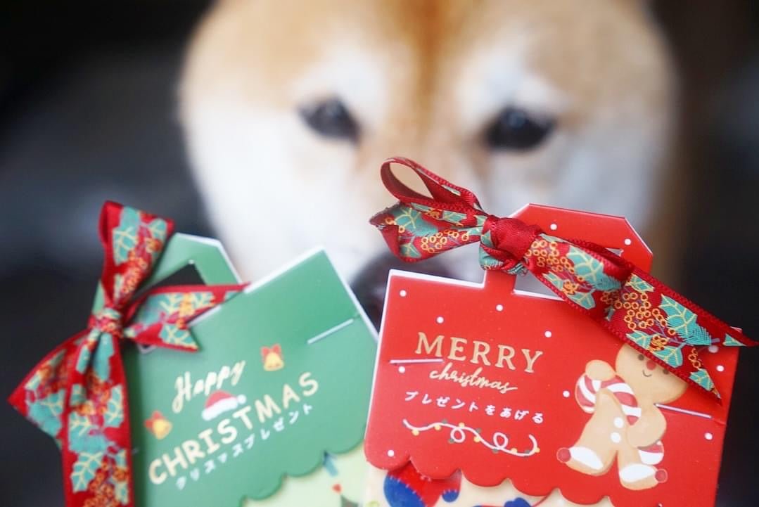 Car Air Freshener - Christmas Shiba Inu - NYU NYU