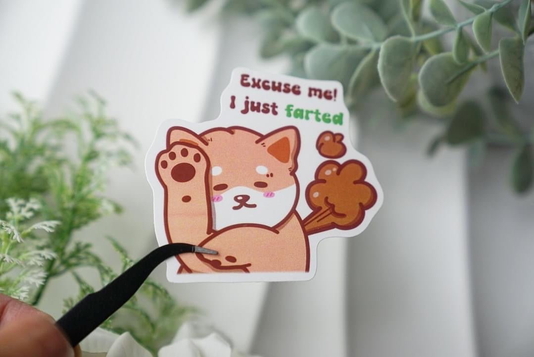 Vinyl Stickers - Excuse me! I just farted - NYU NYU