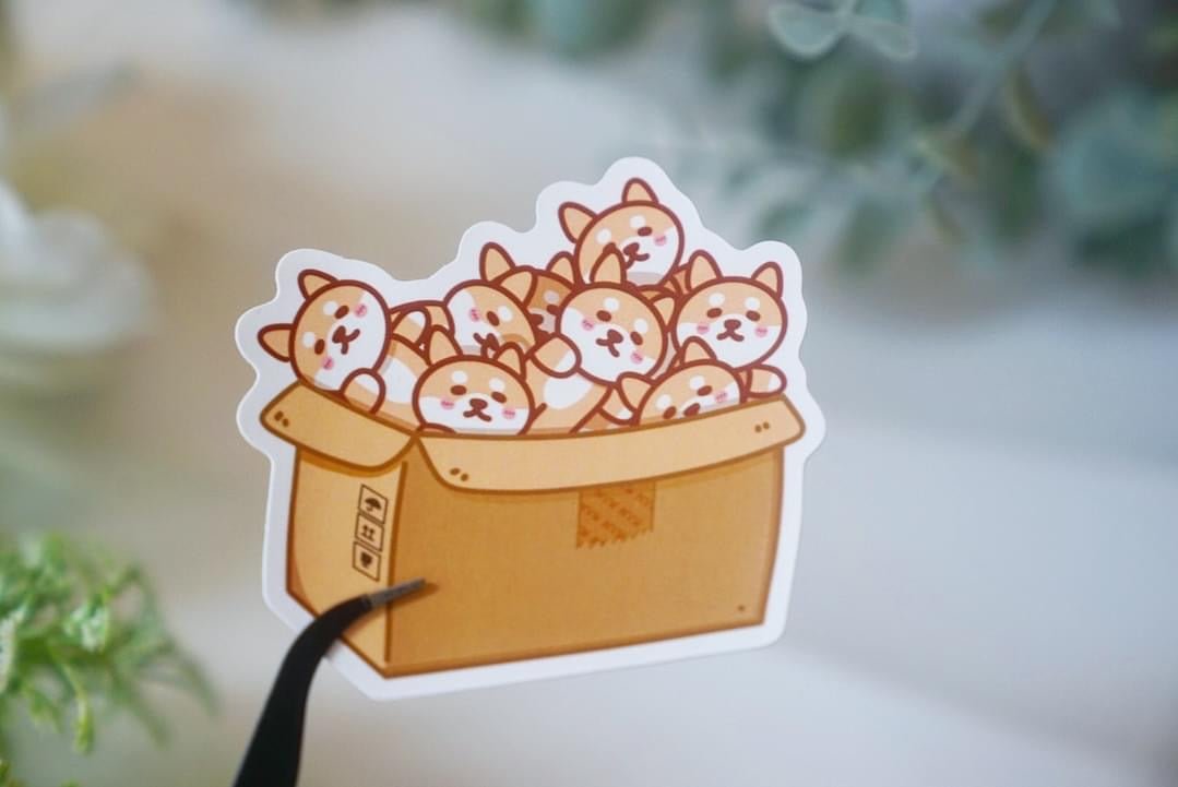 Vinyl Stickers - Shiba Inu in boxes - NYU NYU